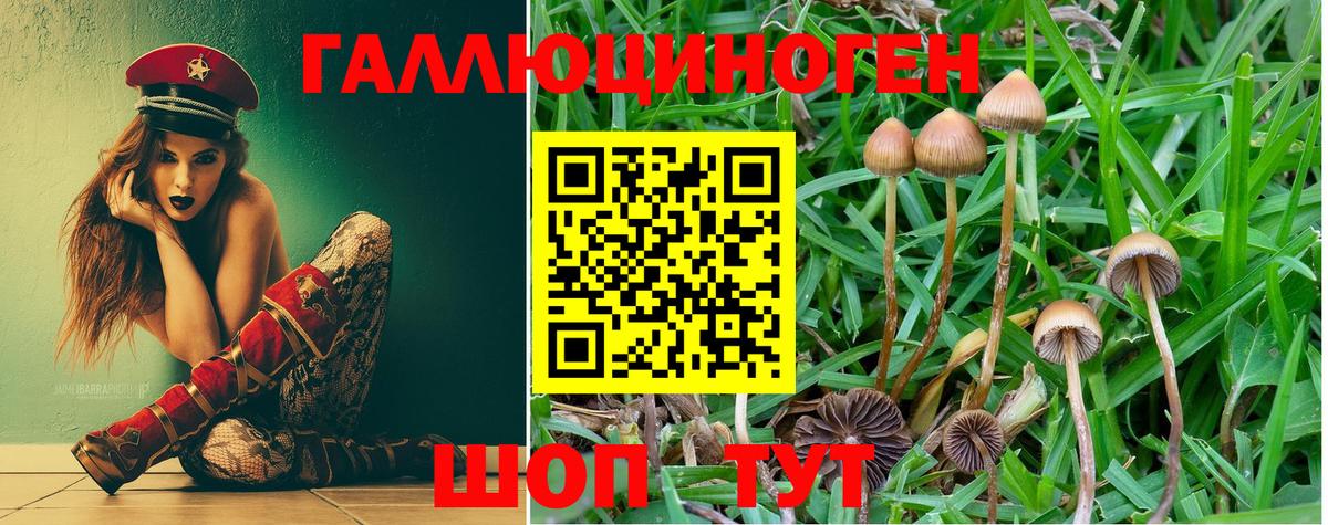 цена наркотик  Псилоцибиновые грибы мухоморы  Вход с VPN  Изобильный 